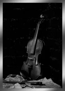 Black violin
