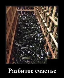 Сломаю любого