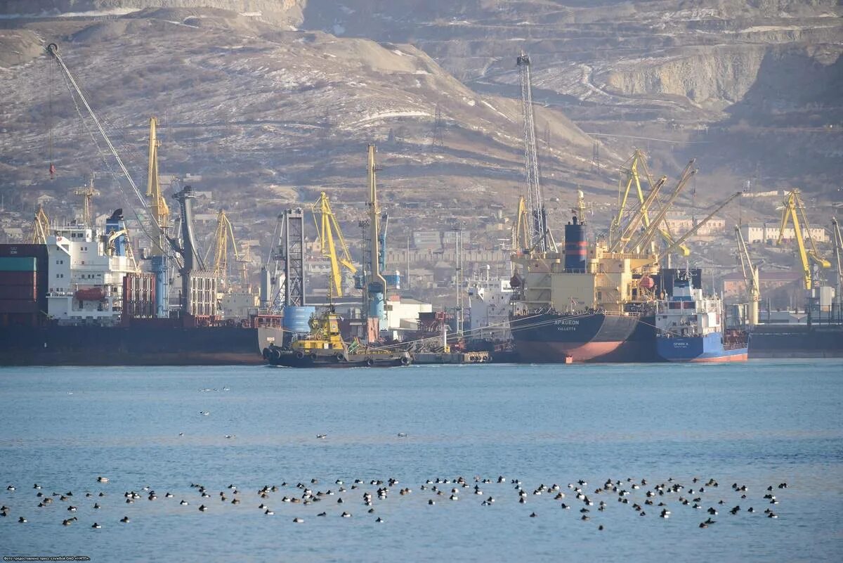 Терминал СРЗ В порту Новороссийск. Морпорт Феодосия. Новороссийский порт зерно. Порт Новороссийск.