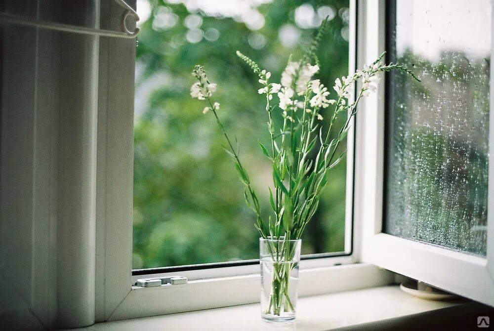 Вновь открытое окно. Весенние цветы на окне. Цветы на подоконнике.