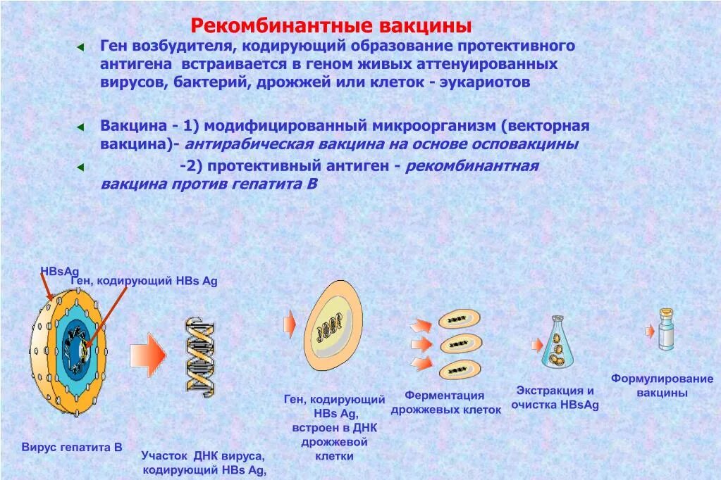 Генная вакцина. Рекомбинантные векторные вакци. Векторные вакцины. Схема получения вакцин. Рекомбинантные вакцины.