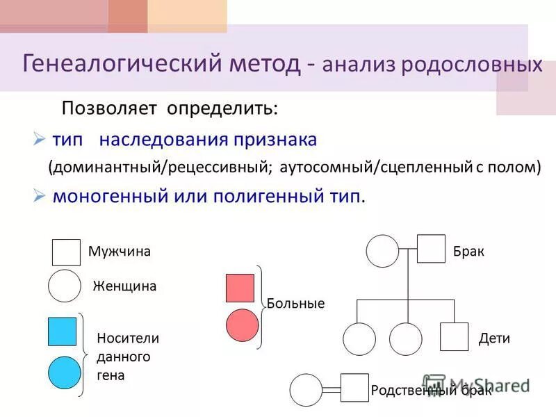 1 генеалогический метод используют для. Генеалогический метод исследования схема. Типы наследования признаков генеалогический метод. 1 генеалогический метод используют для. 1 генеалогический метод используют для.