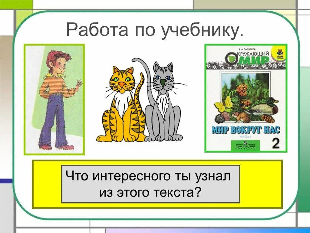 Кошки и собаки 2 класс. Про кошек и собак 2 класс окружающий мир. Проект про кошек и собак 2 класс окружающий мир. Про кошек и собак 2 класс окружающий мир рабочая тетрадь. Породы кошек и собак окружающий мир 2 класс.