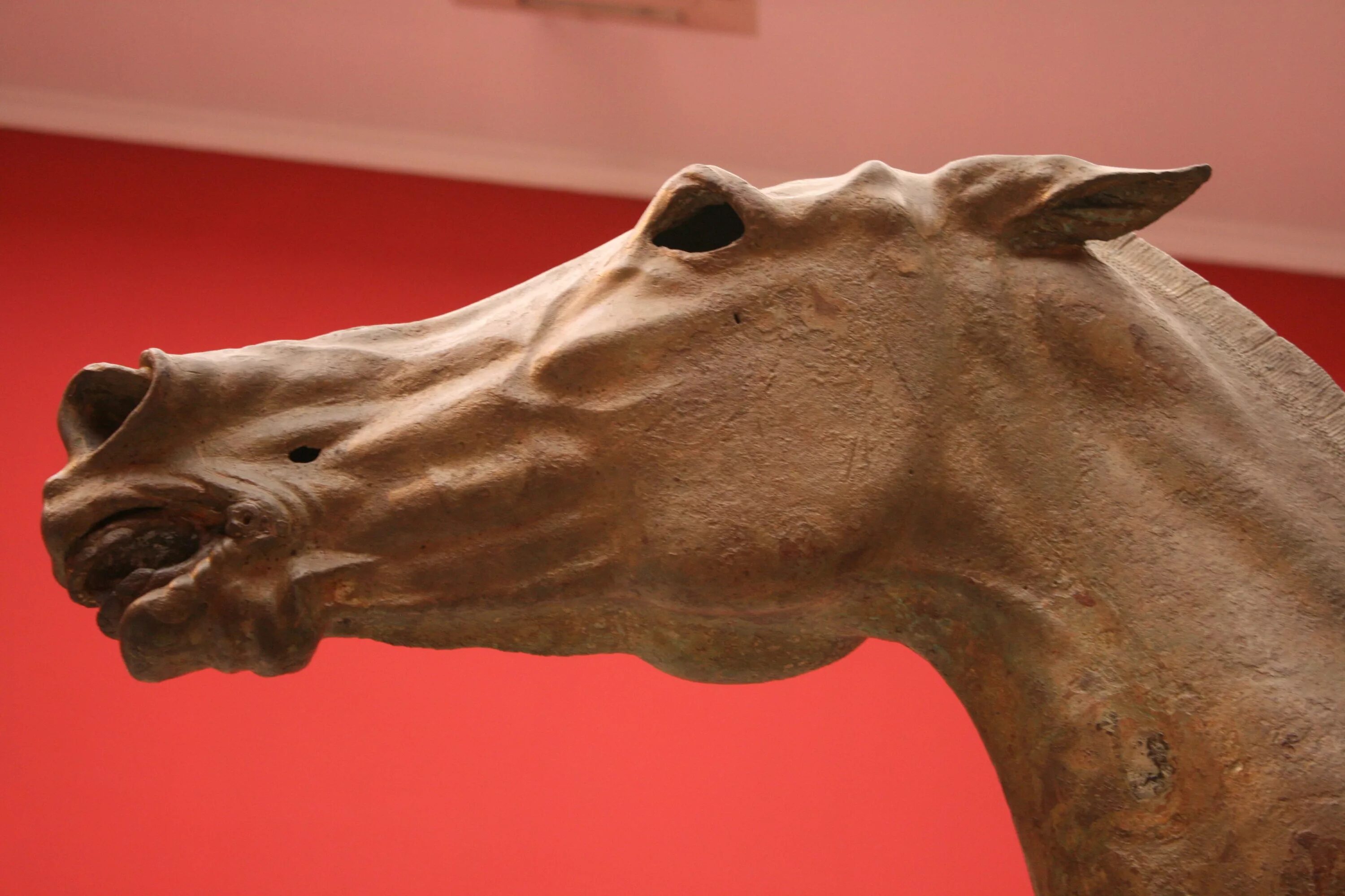 Греческий конь. Лошадь голова скульптура снизу. Голова лошади. Античная скульптура лошадь. Голова коня Экорше.