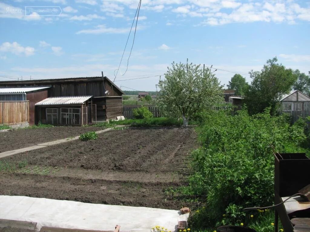 чп красноярск емельяновский район село шуваево 07. емельяновский район красноярского края шуваева. карта шуваево емельяновский район. 09. озеро шуваево красноярска.