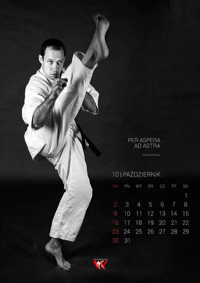 Календарь для каратистов. Календарь по каратэ. Календарь спорт карате. Давид галоян каратэ. Настенный календарь каратэ.