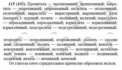 Русский язык 7 класс упражнение номер 77. Русский язык 7 класс ладыженская номер 77. Русский язык 1 класс 2часть 77 стр. Русский язык 1 класс страница 77 номер 7. Русский язык 7 класс упражнение номер 77.