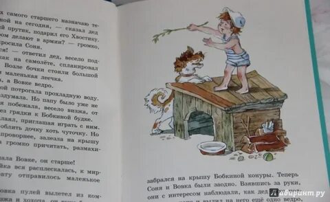 Старший брат соню