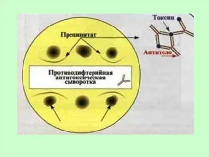 Преципитация это