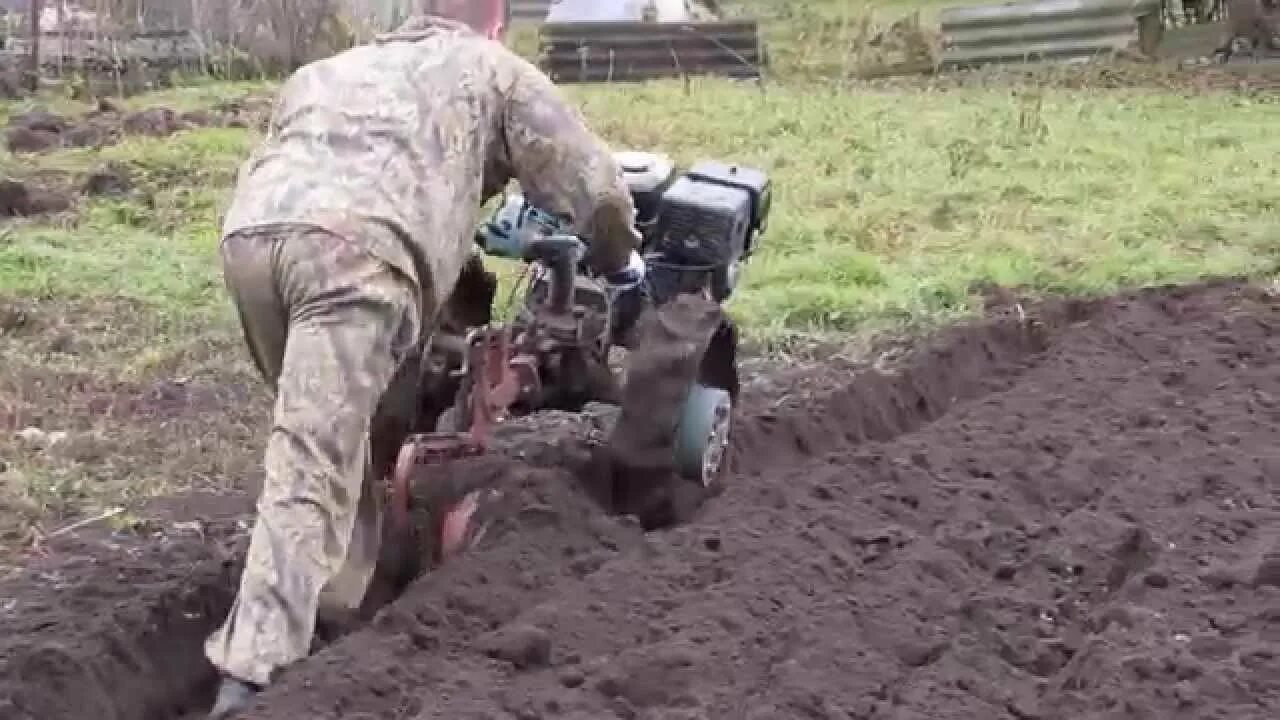 Вспашка мотоблоком с плугом. МТЗ 132н пашет оборотным плугом. Вспашка мотоблоком МТЗ. Пахота мотоблоком МТЗ Видеоблок. Мотоблок для вспашки земли МТЗ.