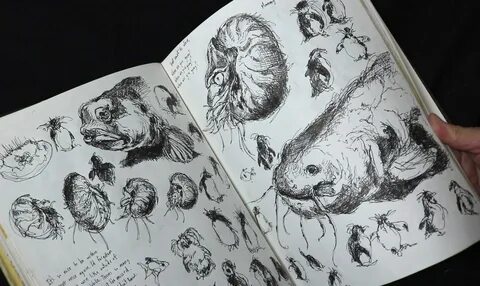 Sketchbook рисовать без скачивания