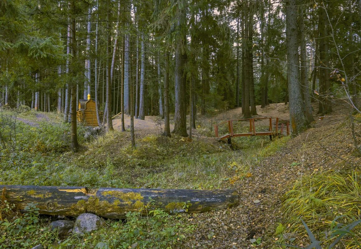 Русский лес белово каталог товаров. Отель русский лес владимирская область. Русский лес вологда. Преображенского 30 вологда еврострой. Магазин маяк вологда преображенского.
