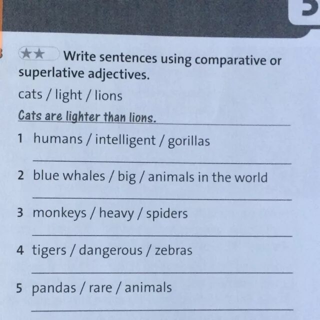 Complete the sentences .use the Comparative of the adjectives. Write sentences with Comparatives. Make sentences using Comparatives. Complete the sentences using Comparatives and Superlatives. Write sentences use comparative