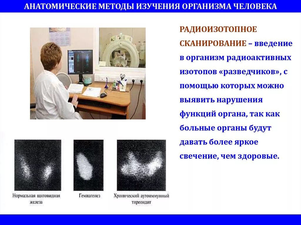 Современное исследование человека. Методы исследования человека. Современные методы исследования человека. Введение радиоактивных изотопов в организм человека. Методы изучения организма человека.