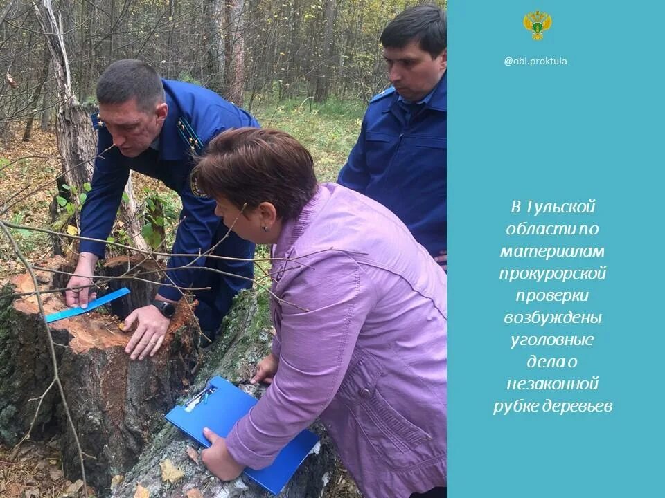 Установка заборов в заокском районе тульской области. Прокуратура Заокского района Тульской области. Прокурор Заокского района. Прокуроры Заокского района Тульской. Прокурор Заокского района Тульской области.