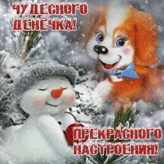 Прекрасного дня зимой