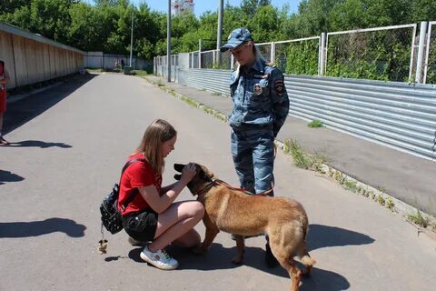 Кинологическая служба