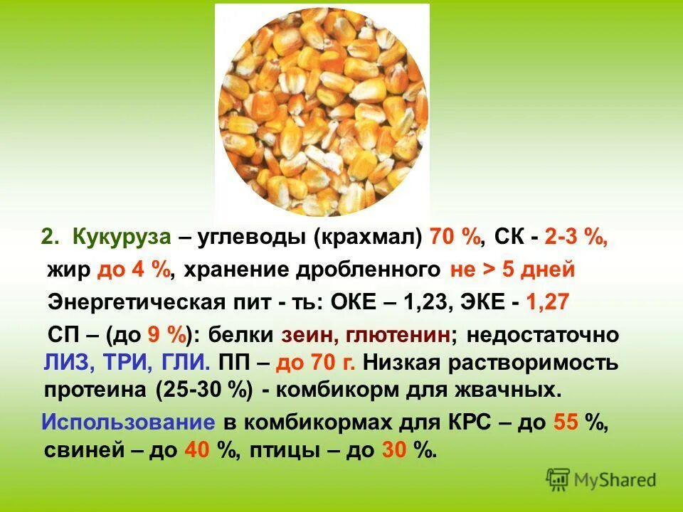 Мед какой углевод. Содержание белка в зерне кукурузы. Кукуруза это белок или углевод. Кукурузные зерна БЖУ. Кукуруза углеводы.