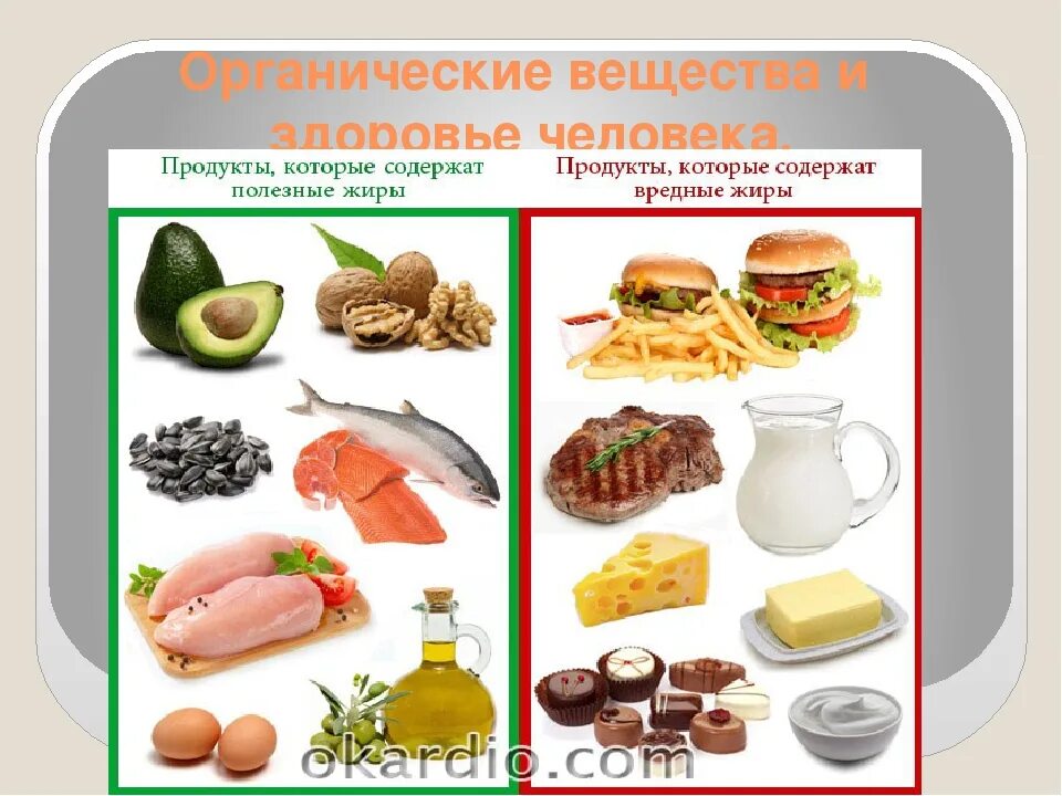 Больше всего жира содержат