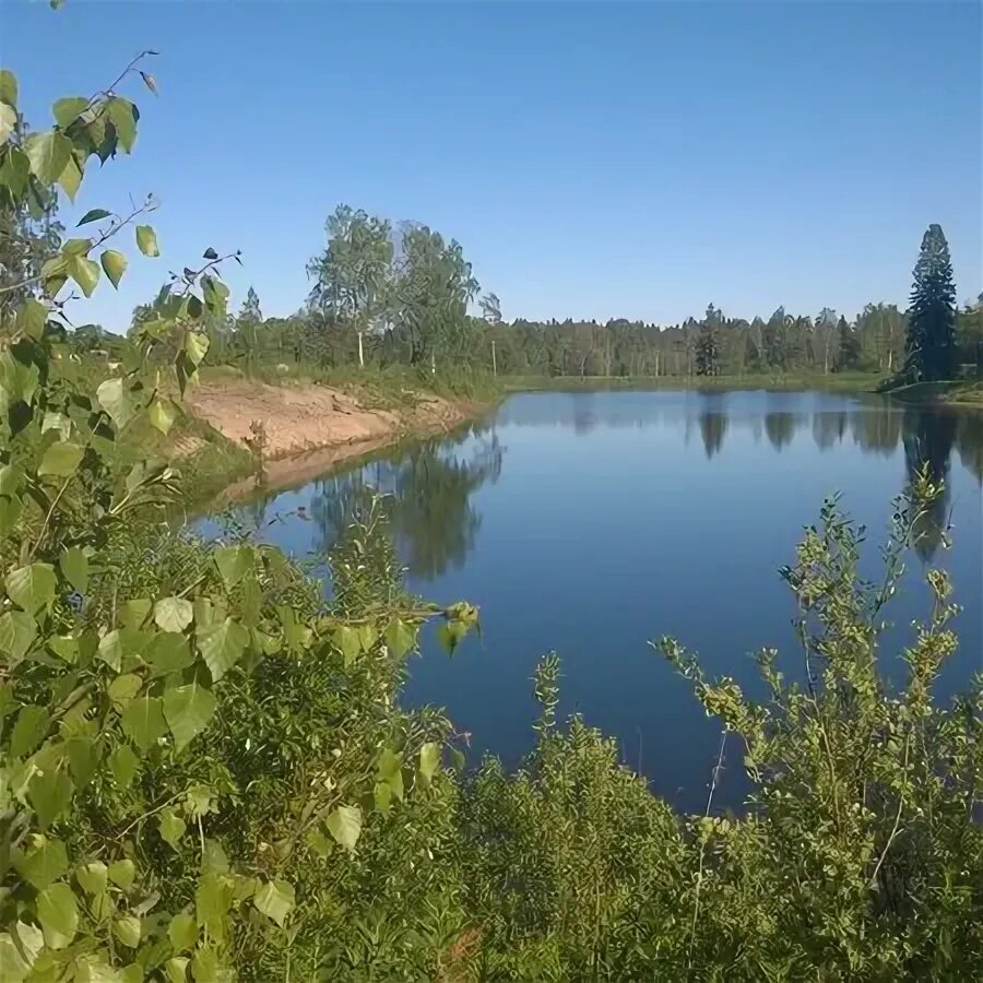 Лесное куйвозовское поселение. Лемболово (бывшая деревня). Куйвозовское сельское поселение. Лесное куйвозовское поселение. Пос лесное куйвозовское сельское поселение.