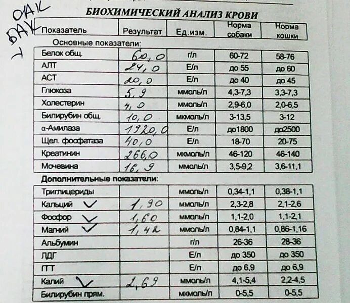 Б х показатели. Стандартный биохимический анализ крови показатели. Анализ крови биохимический общетерапевтический таблица. Показатели Биохим анализа крови- нормы?. Биохим анализ крови показатели.