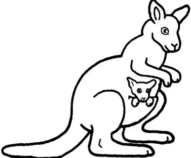 Рисунок кенгуру для срисовки.