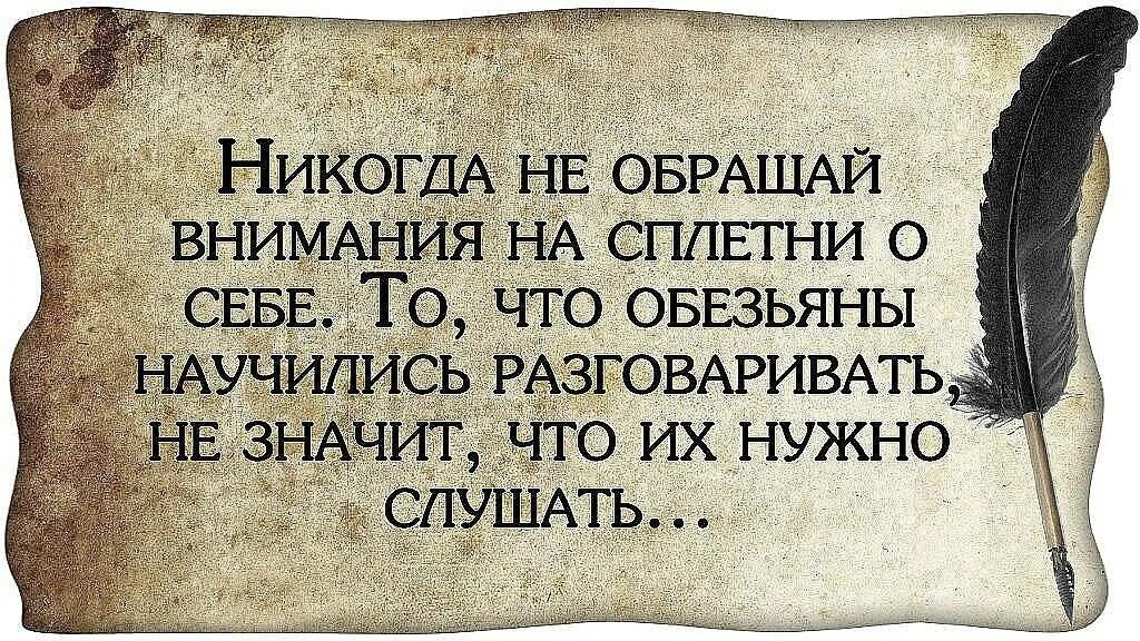 Статус должен. Афоризмы про сплетни. Афоризмы про судьбу. Цитаты про слухи. Фразы.