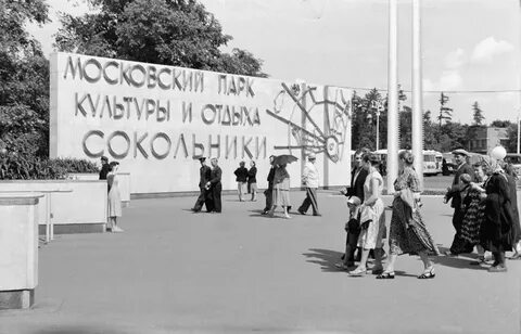 Парк сокольники 31 августа