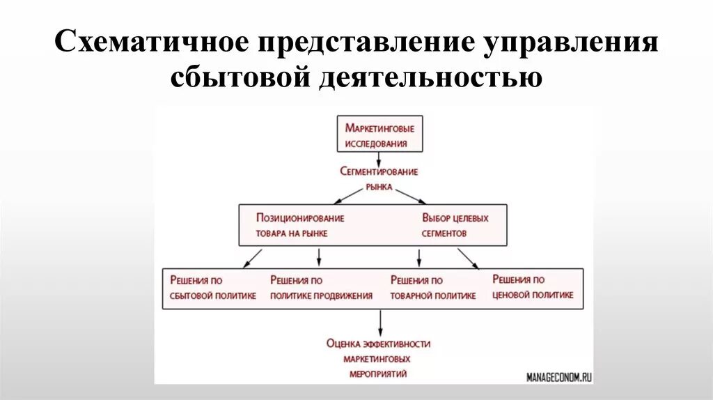 Организация торгово сбытовой деятельности организации. Схема организации сбытовой деятельности. Управление сбытовой деятельностью предприятия. Механизм управления сбытовой деятельностью. Торгово сбытовая деятельность схема.