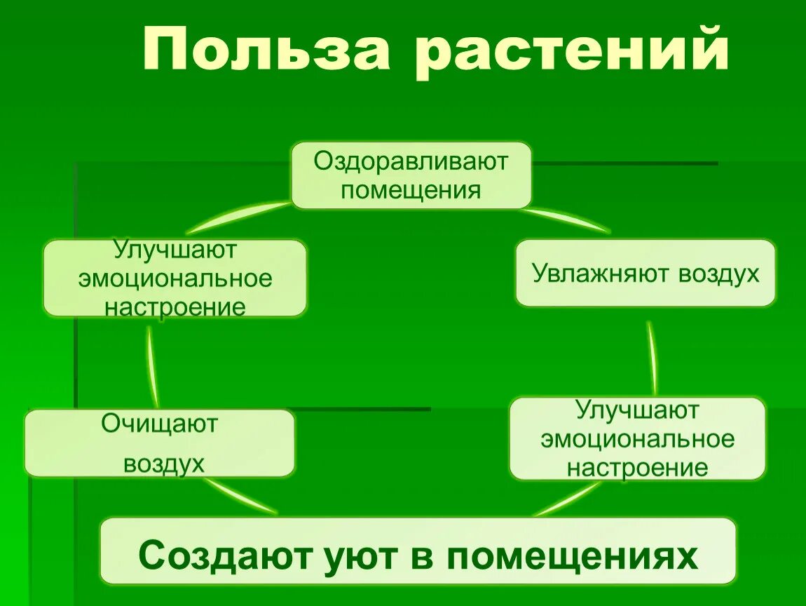 Какая польза растений