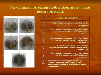 Возможный результат определение