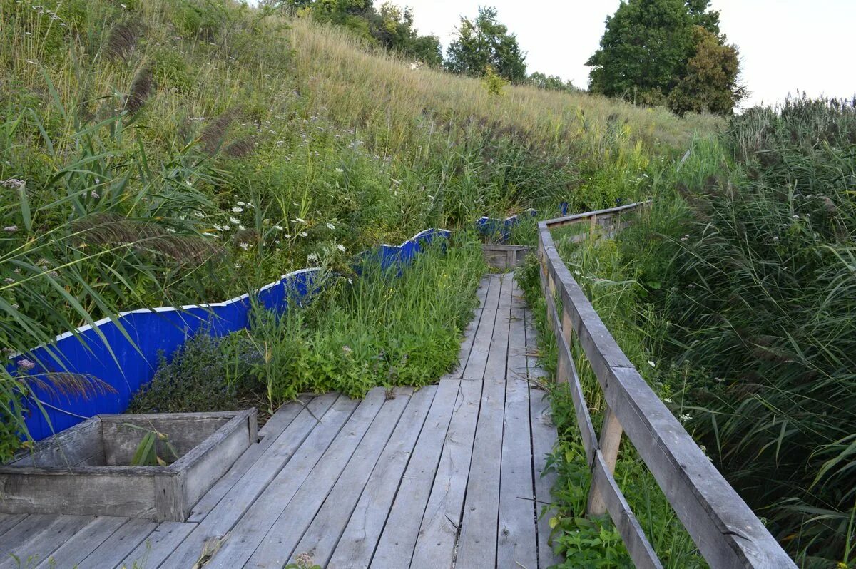 деревня чернавка бутурлиновский район. деревня чернавка воронежской области. село александровка верхнехавского района. чернавка воронежская область. пузево бутурлиновского района воронежской области.