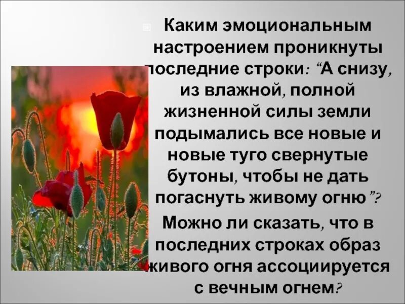 О чем рассказ живое пламя носова кратко. Живое пламя. Иллюстрация к рассказу живое пламя. Носов живое пламя. Произведение живое пламя.