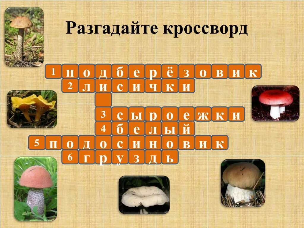 Составить кроссворд грибы. Съедобные грибы кроссворд. Крассвордина тему грибы. Кроссворд про грибы. Кроссворд на тему грибы.