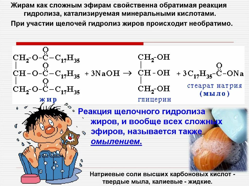 Химия 10 класс сложные эфиры конспект. Формула жиров химия 10 класс. Химия сложные эфиры жиры 10 класс химия. Жиры и мыла химия 10 класс конспект. Сложные эфиры гидролиз сложных эфиров презентация