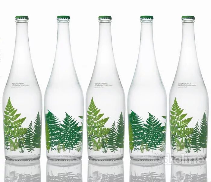Стеклянные бутылки с этикеткой. Эко Ватер вода минеральная. Стеклянная бутылка для воды. Экологичные бутылки для воды. Упаковка минеральной воды.