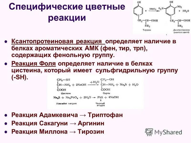 качественные реакции на белок химия.