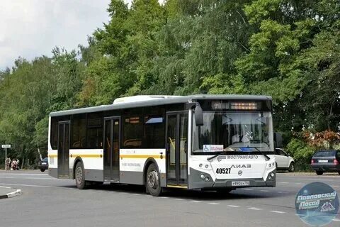 Автобус до павловского парка
