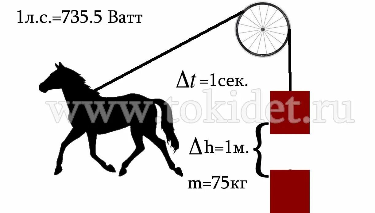 1 лошадиная сила сколько кг. Мощность 1 Лошадиная сила сколько ватт. Перевести ватты в Лошадиные силы. Мощность лошади. Лошадиная сила для лошадей.