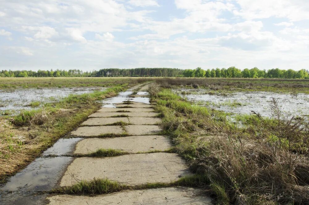 Погода тины красноярского. Терехово болото. Бетонная дорога. Бетонная дорога в селе. Заброшенная бетонная дорога.