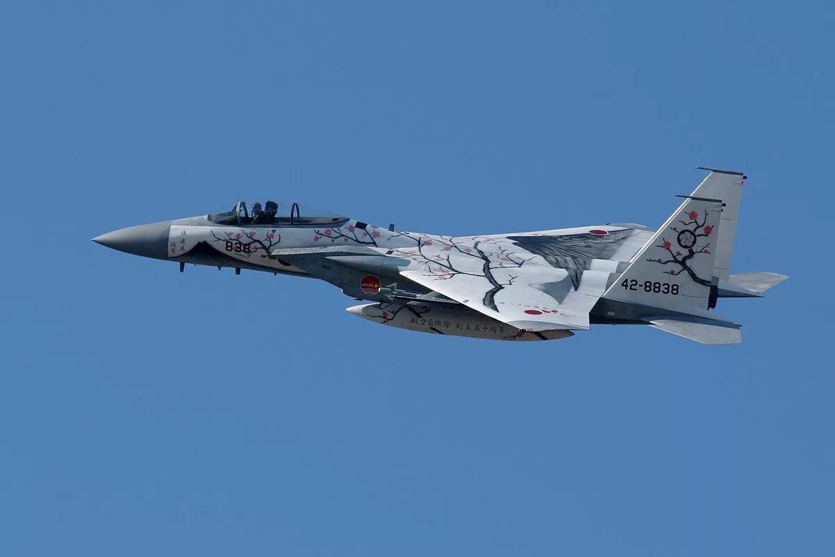 15 j s. F-15j ВВС Японии. F-15j Сакура. JSDF F 15. F-15 Сакура.