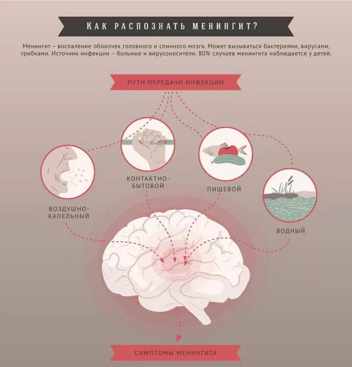 ПУТПУТИ передачи менингита. Менингококковая инфекция пути передачи. Менингит способы передачи инфекции. Пути передачи менингита у взрослых. Что такое менингит симптомы