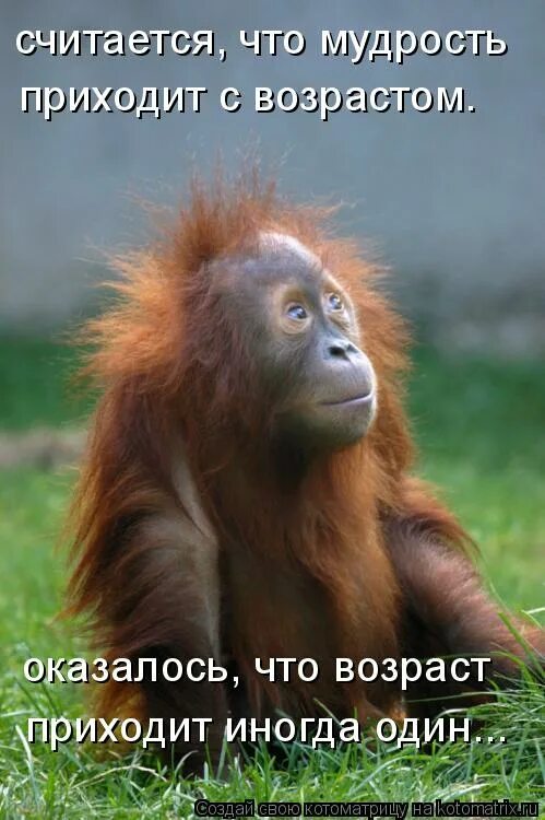 Мудрость не всегда приходит с возрастом. Мудрость приходит с возрастом иногда возраст приходит один. Мудрость приходит с годами но иногда. Мудрость приходит с возрастом но иногда возраст. Мудрость не всегда приходит с возрастом.