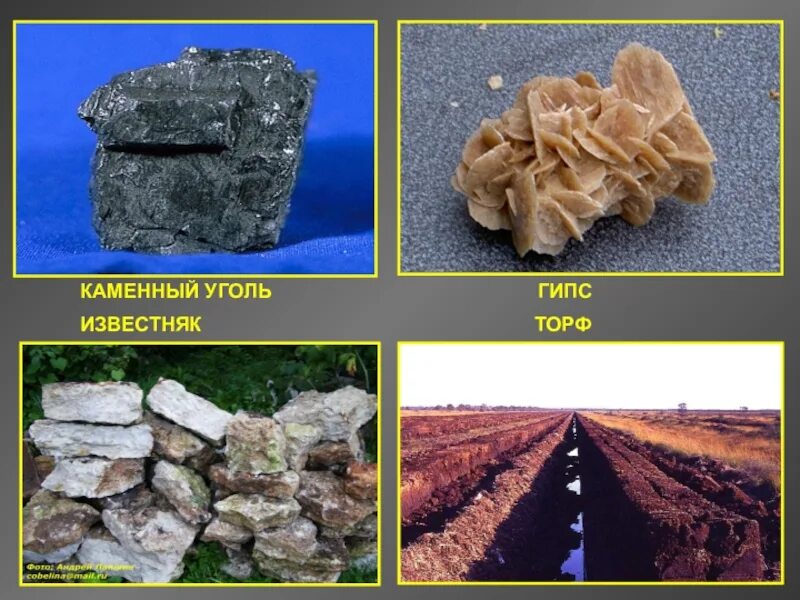Форма рельефа каменного угля