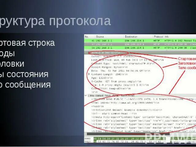 Структура протокола. Строка запроса. Структура текста протокола. Html протокол. Http reason