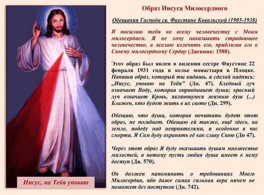 Какую жизненную можно назвать благородной