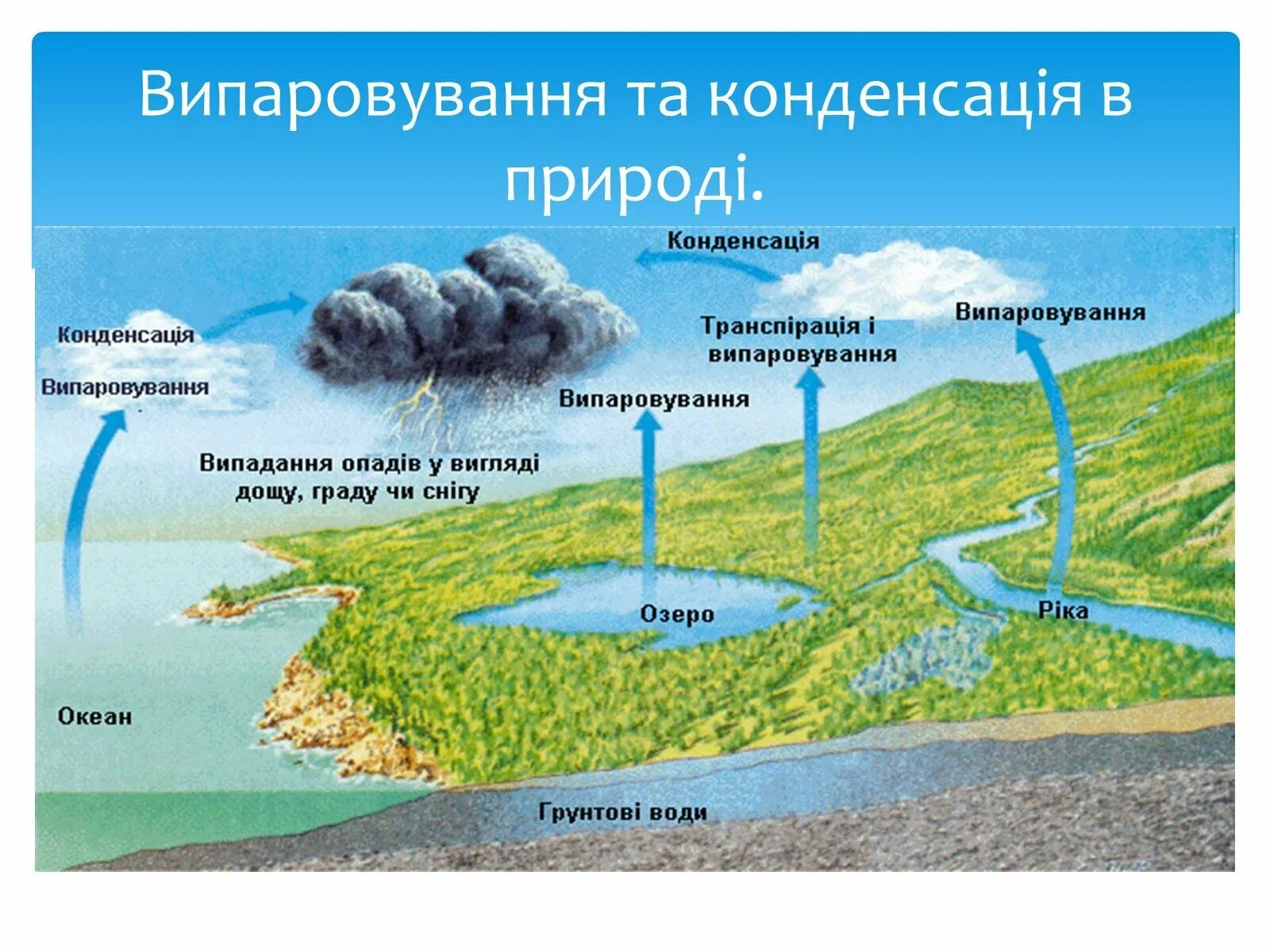 Круговорот воды в природе схема. Схема процесса испарения воды. Круговорот воды география 5 класс. Круговорот веды в природе. Какое значение круговорота воды