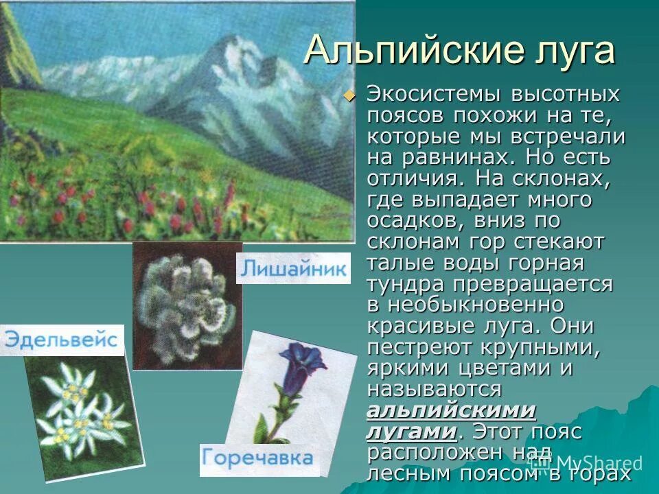 больше всего осадков выпадает на склонах гор