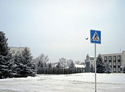 Метеонова чернянка