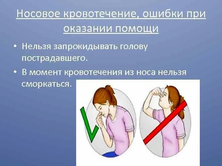 Холод при носовом кровотечении. Носовое кровотечение оказание первой помощи. Оказание помощи при кровотечении из носа. Оказание первой помощи при носовом кровотечении. Алгоритм оказания первой помощи при кровотечении из носа.